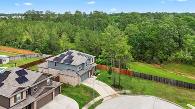 18833 Sawtooth Oak Ct, Magnolia, TX 77355 - photo 2