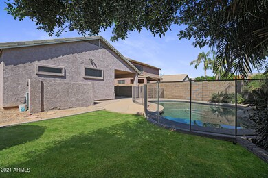 Grassy Back Yard