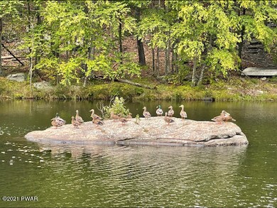 116 Whipple Tree Ln, Blooming Grove Township, PA 18428 - photo 4