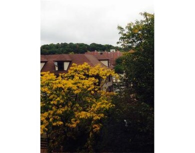 15-17 University Rd unit 45, Brookline, MA 02445 - photo 5