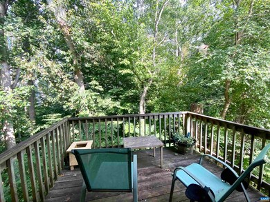 1218 Holmes Ave unit A & B, Charlottesville, VA 22901 - photo 6