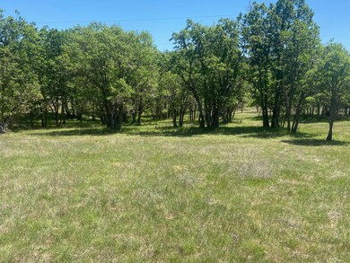 Trees 1