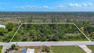 View of property location with property parcel outlined and a forest