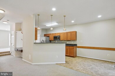 13420 Burrough Farm Dr, Herndon, VA 20171 - photo 4