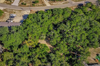 354 Buck Run Pass, Canyon Lake, TX 78133 - photo 6