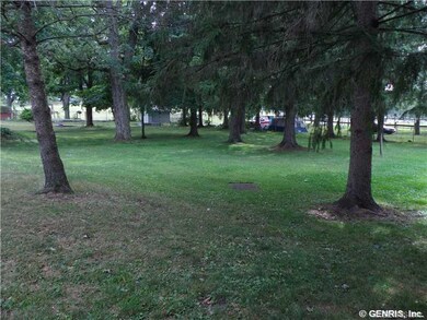 Yard. Back