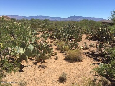 Healthy desert vegetation