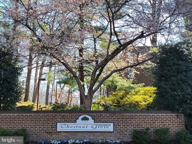 11208 Chestnut Grove Square unit 210, Reston, VA 20190 - photo 7