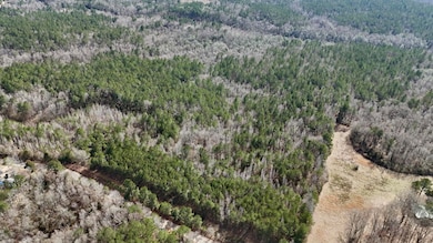 242 Dan George Rd, Mendenhall, MS 39114 - photo 2