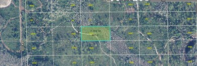 0 Dill Rd unit MFRO6244664, Orlando, FL 32820 - photo 3