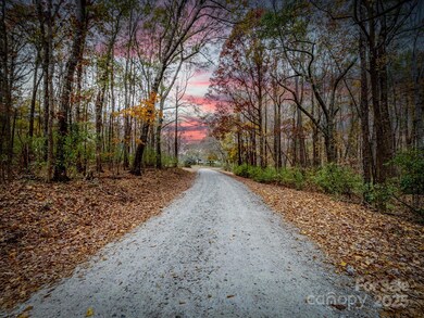 Tract B Stream Ln, Indian Land, SC 29707 - photo 4