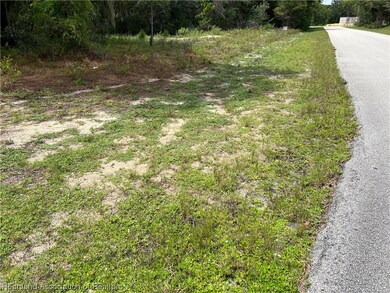 229 Sunbeam Ct, Lake Placid, FL 33852 - photo 6