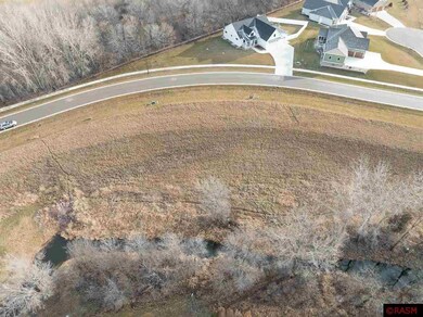 0 Butler Falls Rd, Mankato, MN 56001 - photo 6