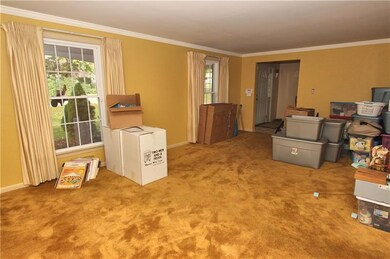 Huge living room with crown molding