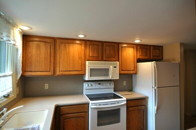 condo kitch 3