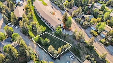 TBD Bald Mountain Rd, Ketchum, ID 83340 - photo 2