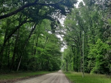 1145 SW Boston Terrace, Fort White, FL 32038 - photo 5