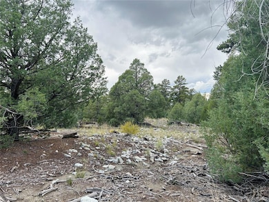 An open area perfect for a driveway.