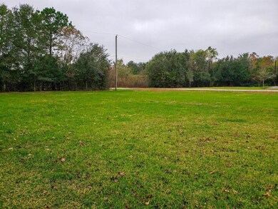 1 Hal Mclain Rd, Manvel, TX 77578 - photo 7