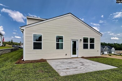 48 Harvest Wheat Ct, Elgin, SC 29045 - photo 3