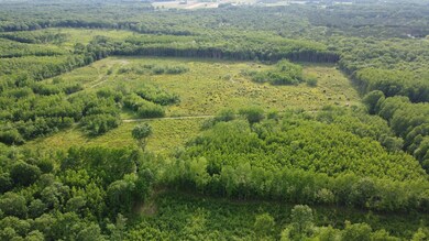 DJI_0204