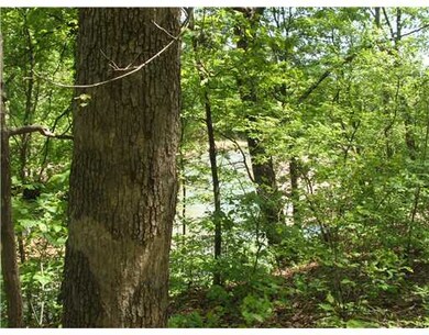 8 Grisham Dr, Bella Vista, AR 72715 - photo 5