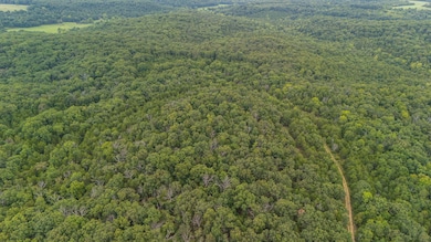 000 Merritt Rd, Chadwick, MO 65629 - photo 7