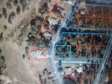 0 N East 155th Ct unit MFRO6309878, Williston, FL 32696 - photo 5