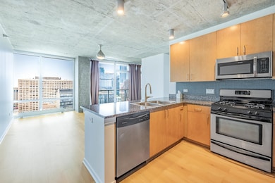 Vetro unit 2301, Chicago, IL 60607 - photo 6