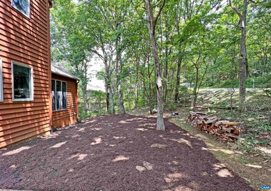 66 Brimstone Dr, Wintergreen Resort, VA 22967 - photo 5