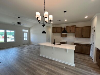 Kitchen with a ceiling fan, wood finished floors, an island with sink, decorative backsplash, and hanging light fixtures