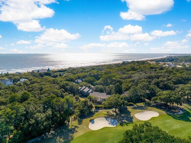 1379 Dunlin Ct, Johns Island, SC 29455 - photo 7