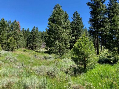 Attractive Rolling & Gently Sloped Lot