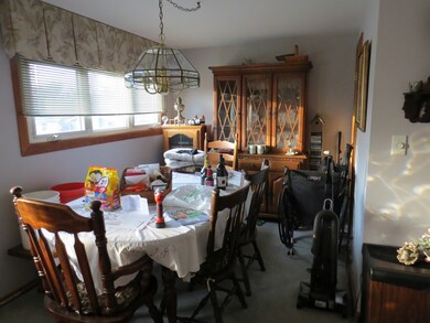 328 Amarillo Dr, Carpentersville, IL 60110 - photo 6