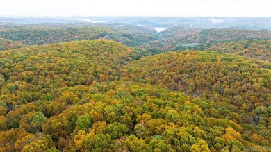 0 Cr 663, Oak Grove, AR 72660 - photo 2