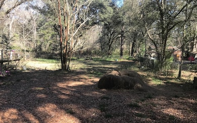 395 NW Bronco Terrace, Lake City, FL 32055 - photo 3