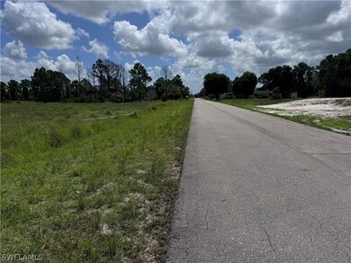 1143 Ebony St E, Lehigh Acres, FL 33974 - photo 2