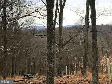 TR C - D Mattie Snyder Rd, Lost River, WV 26812 - photo 7