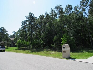 28218 Whispering Maple Way, Spring, TX 77386 - photo 4