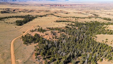 00000 Wilderness Ranch Rd, Red Feather Lakes, CO 80545 - photo 4
