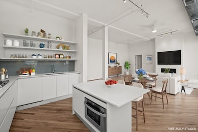 Regal Loft Condos unit 615, Chicago, IL 60614 - photo 5