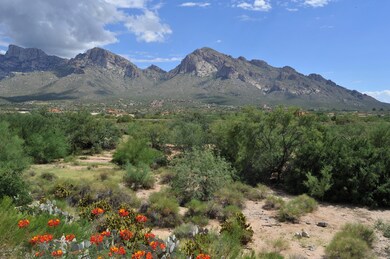 Pusch Ridge Views