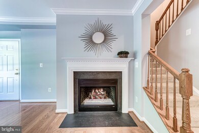 4569 Whittemore Place unit 1321, Fairfax, VA 22030 - photo 5