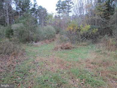 0 Scotts Mill Rd unit 1003248702, Culpeper, VA 22701 - photo 4