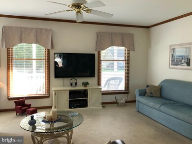 115 Pebble Dr, Dagsboro, DE 19939 - photo 7