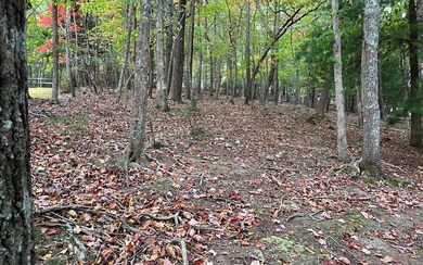 Additional View