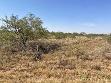 Lot 5E W County Road 149 unit Lot 5, Midland, TX 79706 - photo 3