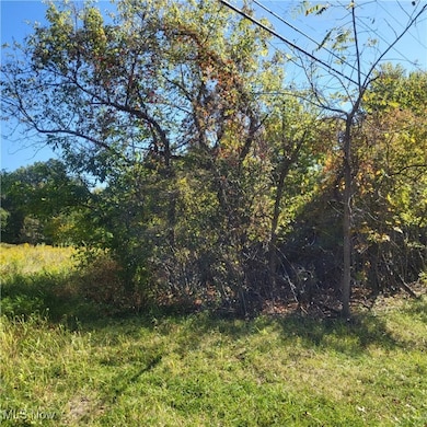 V/L High Bridge Rd, Vermilion, OH 44089 - photo 2