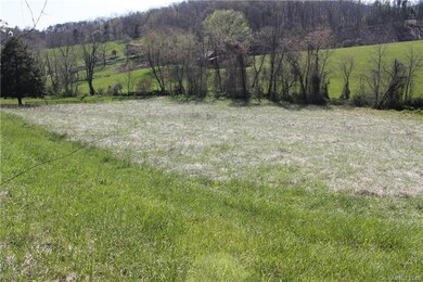 Beautiful level portion of lot