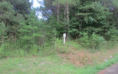 LT33 Foxpaw Leaf Ln, Ellijay, GA 30540 - photo 4